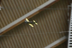 IMG_5594.jpg