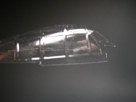 P5150003bs.jpg