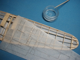 s-P4260144.jpg
